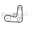 Keilrippenriemensatz CONTITECH 6PK1070K5 Bild Keilrippenriemensatz CONTITECH 6PK1070K5