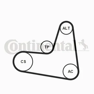 Keilrippenriemensatz CONTITECH 6PK1120K2 Bild Keilrippenriemensatz CONTITECH 6PK1120K2