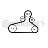 Keilrippenriemensatz CONTITECH 6PK1120 EXTRA K1 Bild Keilrippenriemensatz CONTITECH 6PK1120 EXTRA K1