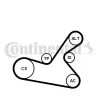 Keilrippenriemensatz CONTITECH 6PK1125K1 Bild Keilrippenriemensatz CONTITECH 6PK1125K1