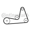 Keilrippenriemensatz CONTITECH 6PK1130K1 Bild Keilrippenriemensatz CONTITECH 6PK1130K1