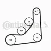 Keilrippenriemensatz CONTITECH 6PK1165K1 Bild Keilrippenriemensatz CONTITECH 6PK1165K1