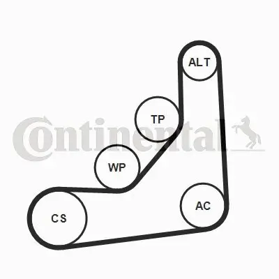 Keilrippenriemensatz CONTITECH 6PK1165K1 Bild Keilrippenriemensatz CONTITECH 6PK1165K1