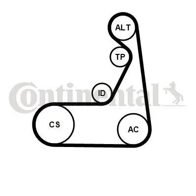 Keilrippenriemensatz CONTITECH 6PK1173K2 Bild Keilrippenriemensatz CONTITECH 6PK1173K2