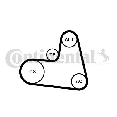 Keilrippenriemensatz CONTITECH 6PK1217K1 Bild Keilrippenriemensatz CONTITECH 6PK1217K1