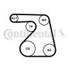 Wasserpumpe + Keilrippenriemensatz CONTITECH 6PK1217WP1
