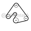 Keilrippenriemensatz CONTITECH 6PK1400K1 Bild Keilrippenriemensatz CONTITECH 6PK1400K1