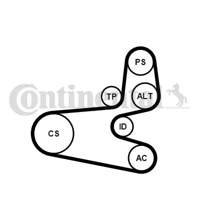 Keilrippenriemensatz CONTITECH 6PK1560K1 Bild Keilrippenriemensatz CONTITECH 6PK1560K1