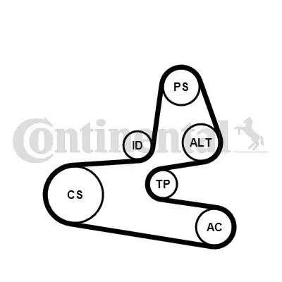 Keilrippenriemensatz CONTITECH 6PK1564K1