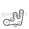Keilrippenriemensatz CONTITECH 6PK1642K1 Bild Keilrippenriemensatz CONTITECH 6PK1642K1