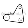 Keilrippenriemensatz CONTITECH 6PK1680K1 Bild Keilrippenriemensatz CONTITECH 6PK1680K1