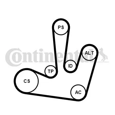 Keilrippenriemensatz CONTITECH 6PK1795K1 Bild Keilrippenriemensatz CONTITECH 6PK1795K1