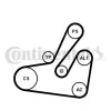 Keilrippenriemensatz CONTITECH 6PK1795K2 Bild Keilrippenriemensatz CONTITECH 6PK1795K2