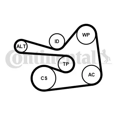 Keilrippenriemensatz CONTITECH 6PK1830K1 Bild Keilrippenriemensatz CONTITECH 6PK1830K1