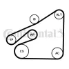 Keilrippenriemensatz CONTITECH 6PK1840K1 Bild Keilrippenriemensatz CONTITECH 6PK1840K1