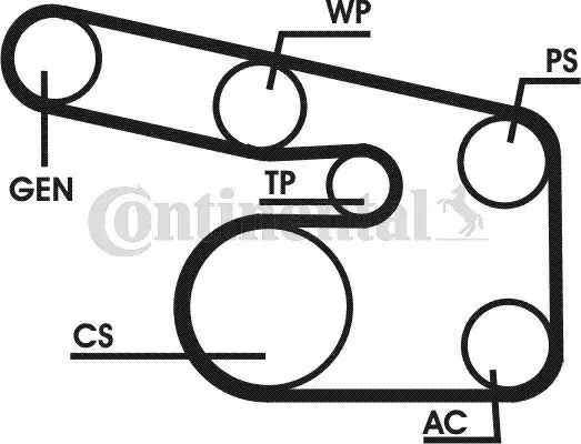 Keilrippenriemensatz CONTITECH 6PK1900D1 Bild Keilrippenriemensatz CONTITECH 6PK1900D1