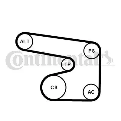 Keilrippenriemensatz CONTITECH 6PK1900K1 Bild Keilrippenriemensatz CONTITECH 6PK1900K1
