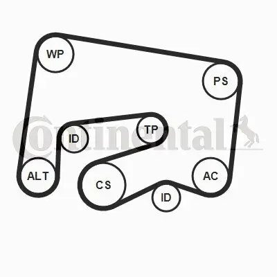 Keilrippenriemensatz CONTITECH 6PK2000K1 Bild Keilrippenriemensatz CONTITECH 6PK2000K1