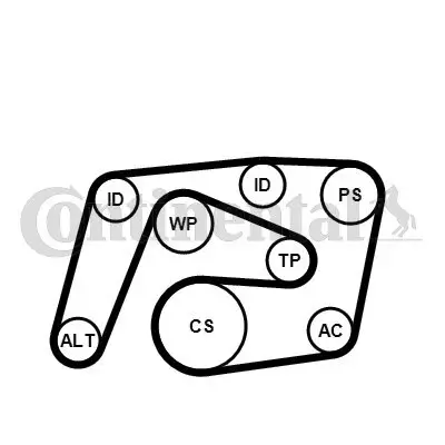 Keilrippenriemensatz CONTITECH 6PK2260K1 Bild Keilrippenriemensatz CONTITECH 6PK2260K1