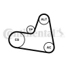 Keilrippenriemensatz CONTITECH 6PK962K2 Bild Keilrippenriemensatz CONTITECH 6PK962K2