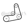 Keilrippenriemensatz CONTITECH 6PK986K1 Bild Keilrippenriemensatz CONTITECH 6PK986K1