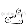 Keilrippenriemensatz CONTITECH 7PK1125K1 Bild Keilrippenriemensatz CONTITECH 7PK1125K1