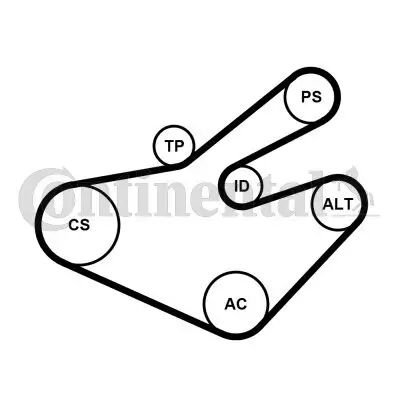 Keilrippenriemensatz CONTITECH 7PK1795K1 Bild Keilrippenriemensatz CONTITECH 7PK1795K1