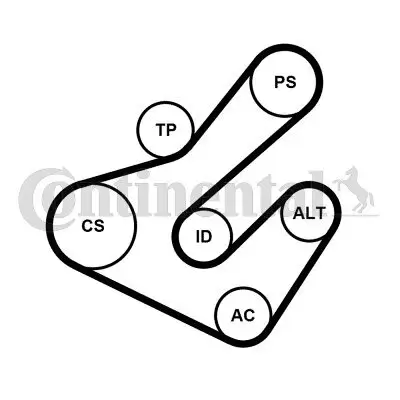 Keilrippenriemensatz CONTITECH 7PK1795K2 Bild Keilrippenriemensatz CONTITECH 7PK1795K2