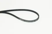 Keilrippenriemen CONTITECH 3PK823 ELAST