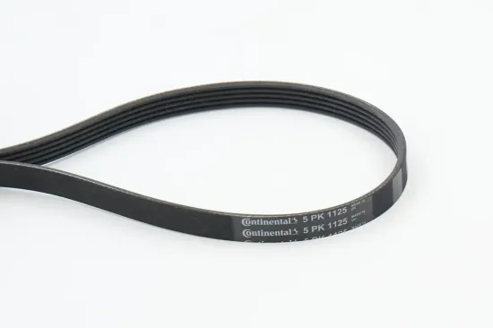 Keilrippenriemen CONTITECH 5PK1125 Bild Keilrippenriemen CONTITECH 5PK1125