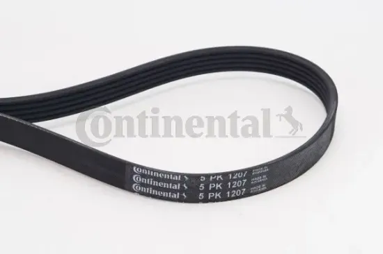 Keilrippenriemen CONTITECH 5PK1207 Bild Keilrippenriemen CONTITECH 5PK1207