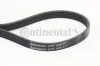 Keilrippenriemen CONTITECH 5PK1515