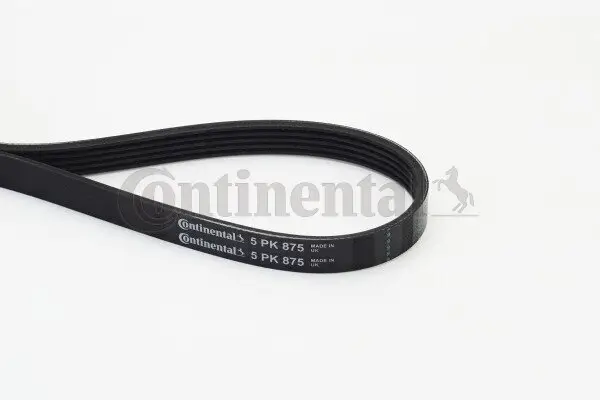 Keilrippenriemen CONTITECH 5PK875
