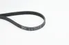 Keilrippenriemen CONTITECH 6PK1027 ELAST