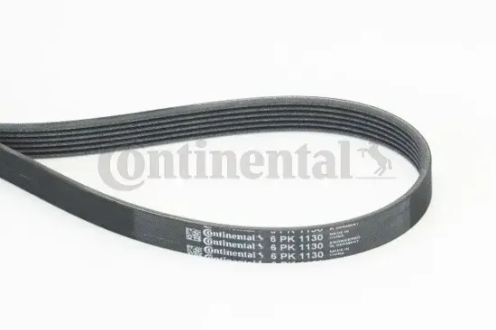 Keilrippenriemen CONTITECH 6PK1130 Bild Keilrippenriemen CONTITECH 6PK1130