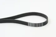 Keilrippenriemen CONTITECH 6PK1217