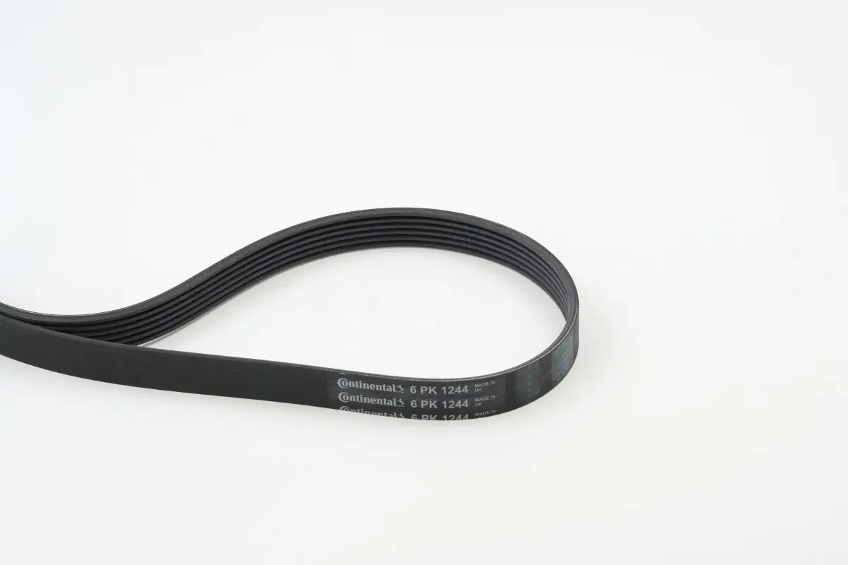 Keilrippenriemen CONTITECH 6PK1244