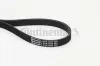 Keilrippenriemen CONTITECH 6PK1555