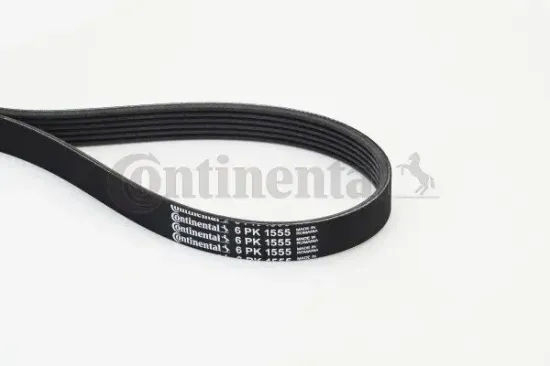 Keilrippenriemen CONTITECH 6PK1555 Bild Keilrippenriemen CONTITECH 6PK1555