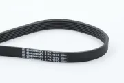 Keilrippenriemen CONTITECH 6PK1900