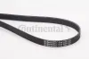 Keilrippenriemen CONTITECH 6PK2260