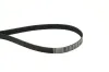 Keilrippenriemen CONTITECH 7PK1195 ELAST