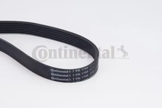 Keilrippenriemensatz CONTITECH 7PK1795K1 Bild Keilrippenriemensatz CONTITECH 7PK1795K1
