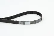 Zahnriemen CONTITECH CT1081
