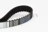Zahnriemen CONTITECH CT1092 Bild Zahnriemen CONTITECH CT1092