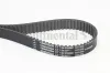 Zahnriemen CONTITECH CT1241