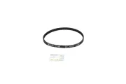 Zahnriemen CONTITECH CT1248
