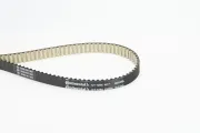 Zahnriemen CONTITECH CT1254