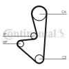Zahnriemen CONTITECH CT1067 Bild Zahnriemen CONTITECH CT1067