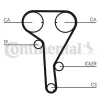 Zahnriemen CONTITECH CT1077 Bild Zahnriemen CONTITECH CT1077